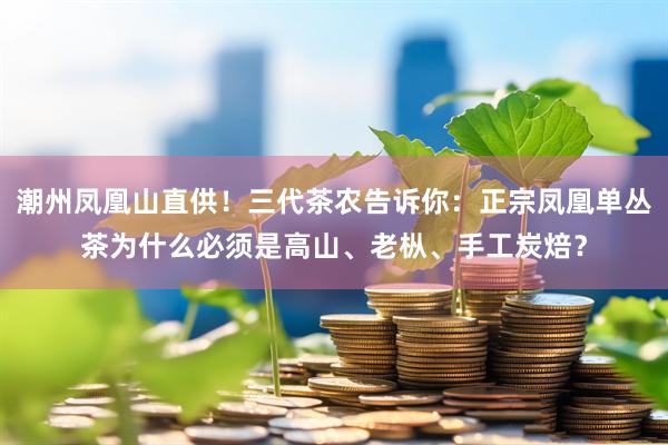 潮州凤凰山直供！三代茶农告诉你：正宗凤凰单丛茶为什么必须是高山、老枞、手工炭焙？