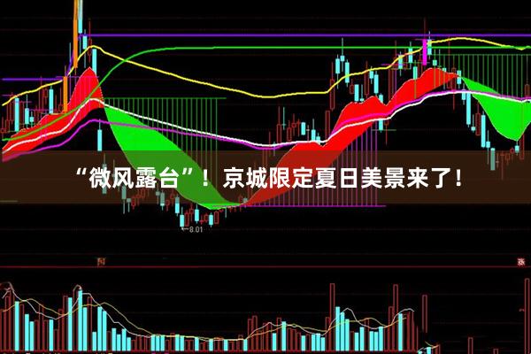 “微风露台”！京城限定夏日美景来了！