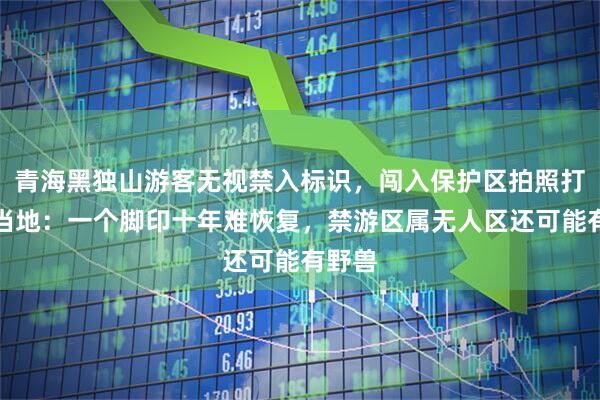 青海黑独山游客无视禁入标识，闯入保护区拍照打卡，当地：一个脚印十年难恢复，禁游区属无人区还可能有野兽