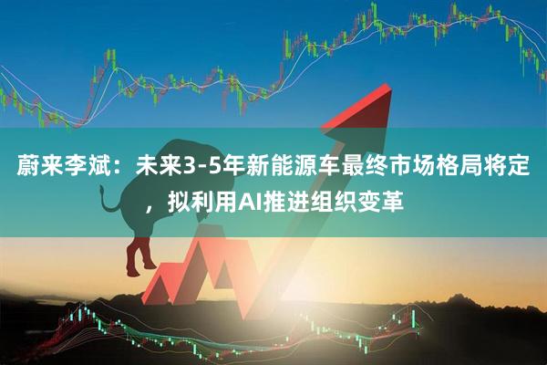 蔚来李斌：未来3-5年新能源车最终市场格局将定，拟利用AI推进组织变革